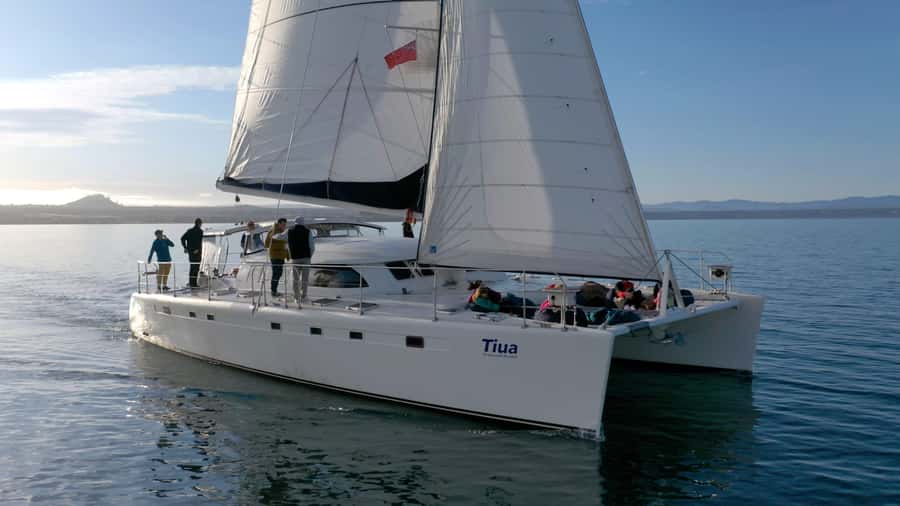 Lake Taupo: Luxury Sailing Catamaran to Māori Rock Carvings - The sailing portion: where you’ll actually spend the time
