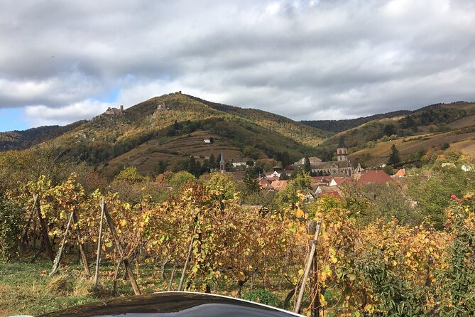 "Le petit Alsacien" Luxury Tour Local private friendly driver - Price and value for a group of up to 4