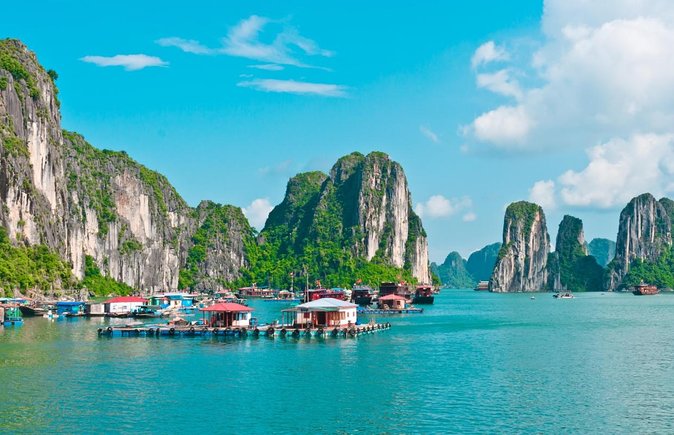 LIKE A BOSS-Luxury options-2d/1n All inclusive in Halong Bay - Quick take: what makes Like a Boss work