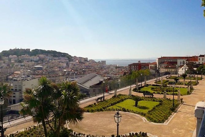 Lisbon Private Personalized Full-Day Experience - Pickup in Lisbon: cruise ships and flights