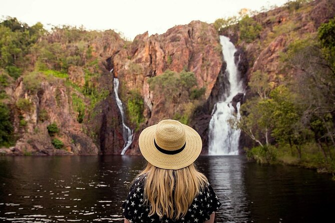 LookAbout Darwin Wetlands Wildlife Premium Tour Max 6 Guests - Crocodiles, buffalo, and smaller clues that mean animals are around