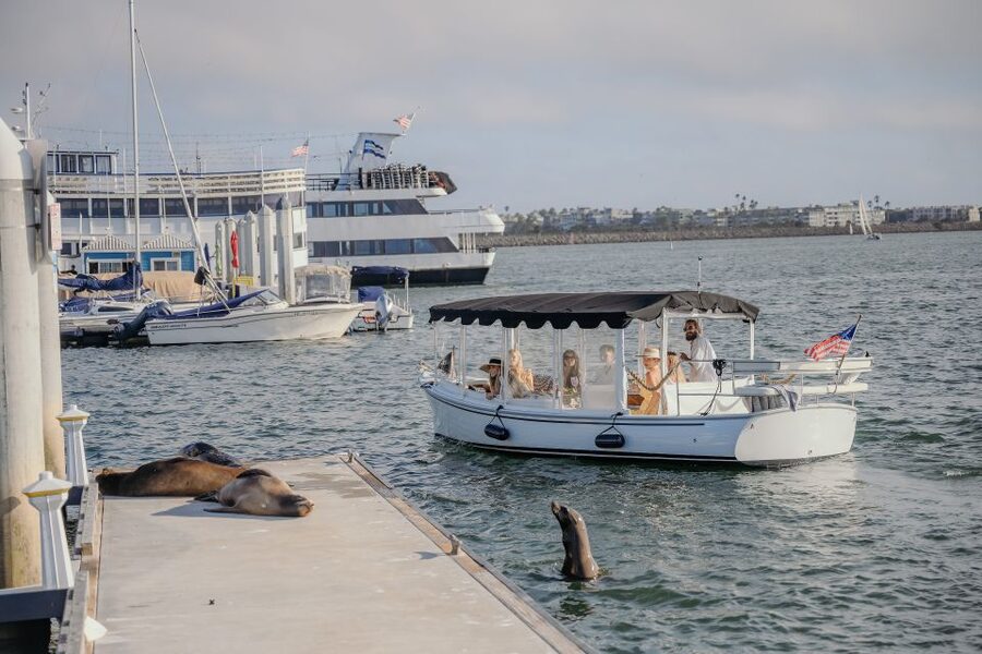 Los Angeles: Luxury Cruise with Wine, Cheese & Sea Lions - Who should book this cruise (and who might skip it)
