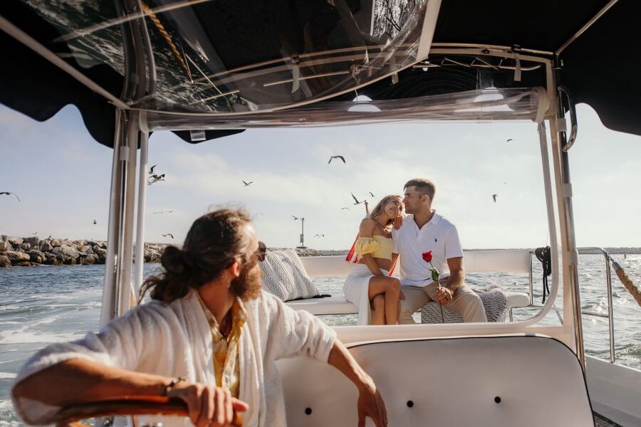 Los Angeles: Luxury Cruise with Wine, Cheese & Sea Lions - Price and logistics: getting the most for $119