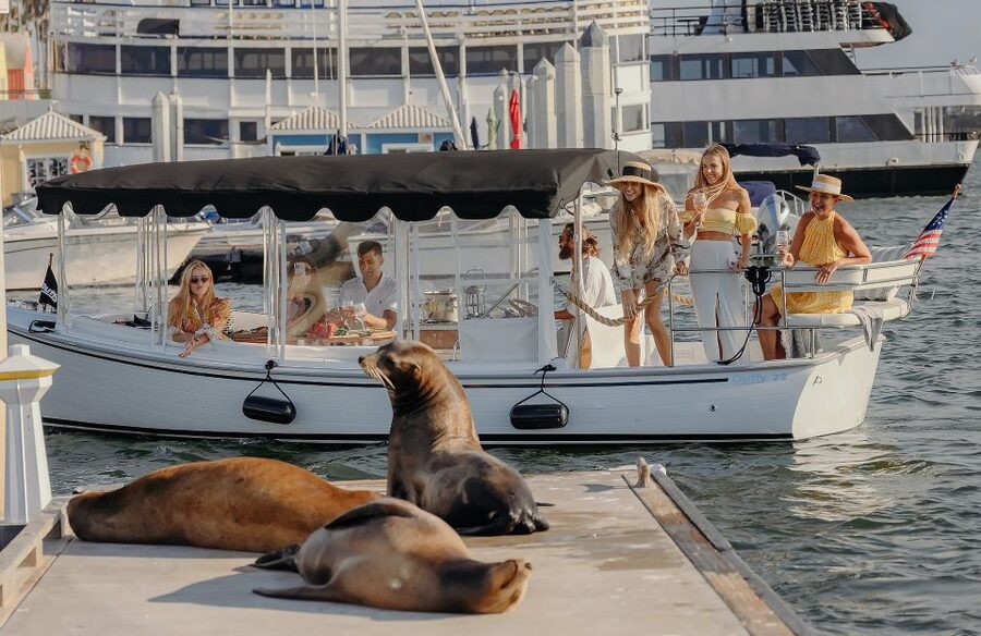 Los Angeles: Luxury Cruise with Wine, Cheese & Sea Lions - Electric Duffy boat comfort: quiet cruising, blankets, and room to breathe