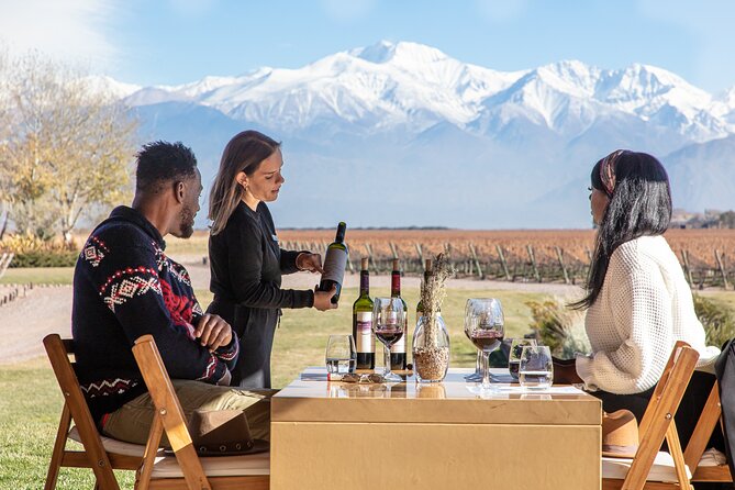 Lujan Deluxe - Full day - Premium Wine Tour with Gourmet Lunch - A small-group Luján day that focuses on wine and food