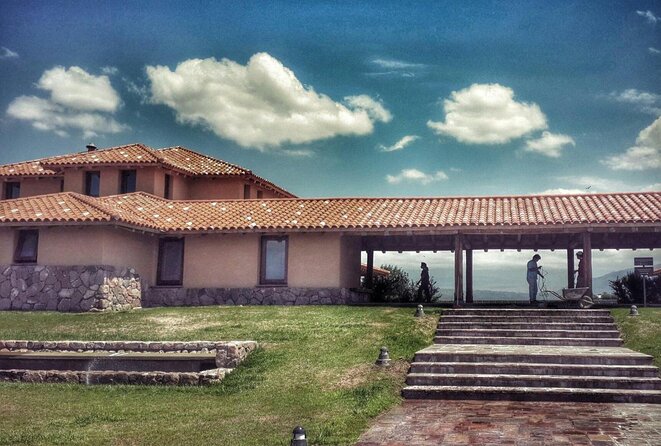 Lujan Deluxe - Full day - Premium Wine Tour with Gourmet Lunch - Stop 3: Finca Minimal and the 6-course gourmet lunch in a 1905 Malbec vineyard