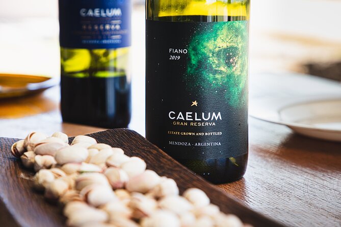 Lujan Deluxe - Full day - Premium Wine Tour with Gourmet Lunch - Stop 2: Casarena Bodega y Vinedos in Agrelo, old vines and new energy