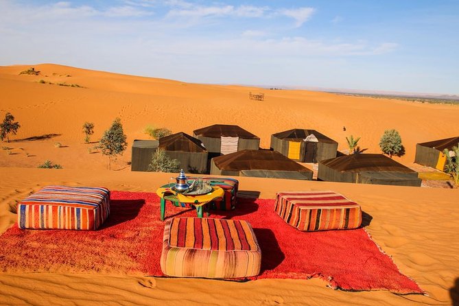 Luxury 2-Days Desert Trip from Fes to.:( fes or marakech) - The long drive through Ifran, Azrou cedar forest, and the High Atlas