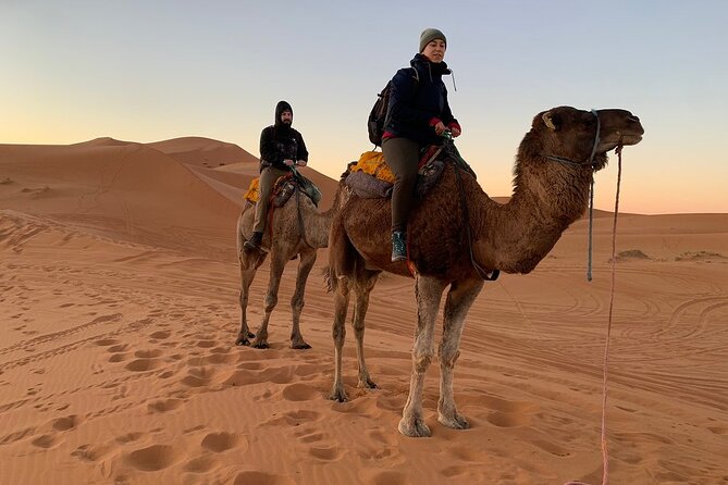 Luxury 2-Days Desert Trip from Fes to.:( fes or marakech) - Who should book this, and who should skip it