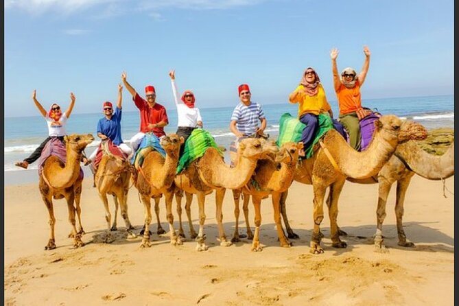 luxury 4 Hour Private Tour of Tangier - Key highlights if you want the Tangier “greatest hits”