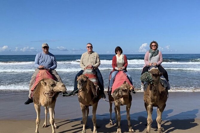 luxury 4 Hour Private Tour of Tangier - Tangier American Legation and Moshe Nahon Synagogue