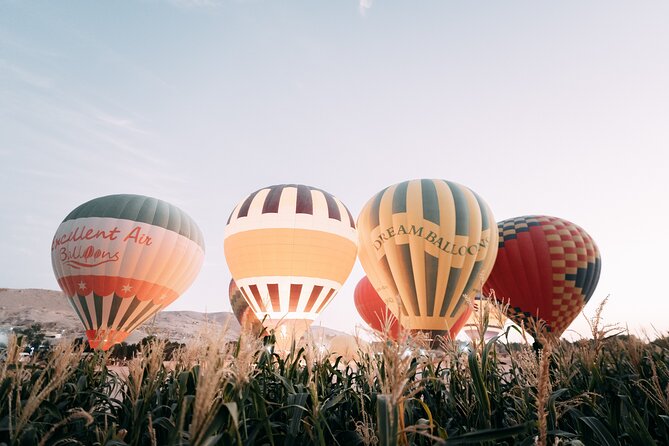Luxury Balloon Ride in Luxor with Hotels Pickup - Price and value: what $39.90 really buys you in Luxor