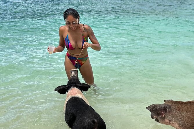 Luxury Catamaran Cruise: Sip, Sail, Snorkel, and Swim with Pigs! - Key highlights at a glance