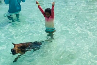 Luxury Catamaran Cruise: Sip, Sail, Snorkel, and Swim with Pigs! - Stop 1: Paradise Island cruising (and why that first hour matters)