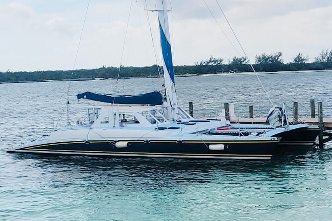 Luxury Catamaran Cruise: Sip, Sail, Snorkel, and Swim with Pigs! - Stop 3: Pig Beach — feeding pigs vs. swimming (the main event)