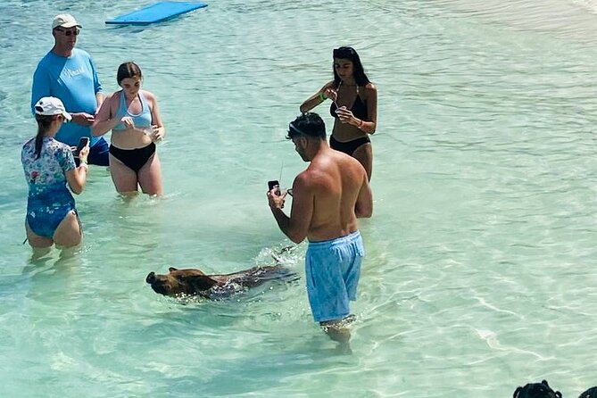 Luxury Catamaran Cruise: Sip, Sail, Snorkel, and Swim with Pigs! - Stop 4: Rose Island Sun & Fun Beach Party + Sandy Cay sighting