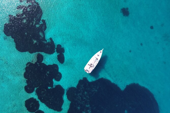 Luxury Catamaran Morning Semi-Private & Greek Gastronomy Athens - Who should book this cruise (and who might want to skip it)