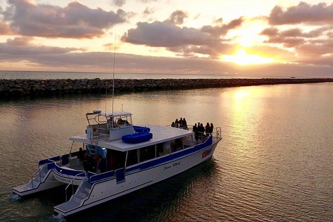 Luxury Catamaran Sunset and Wine Cruise from Dana Point - Key Points You Should Know Before You Go