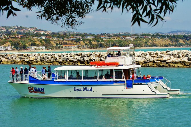 Luxury Catamaran Sunset and Wine Cruise from Dana Point - Dana Point Harbor at Golden Hour: Why This 90-Minute Catamaran Works
