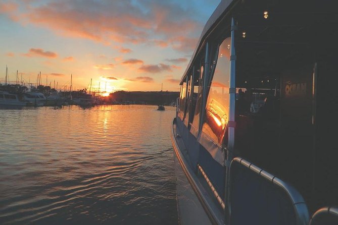 Luxury Catamaran Sunset and Wine Cruise from Dana Point - Who Should Book This Cruise—and Who Might Skip It