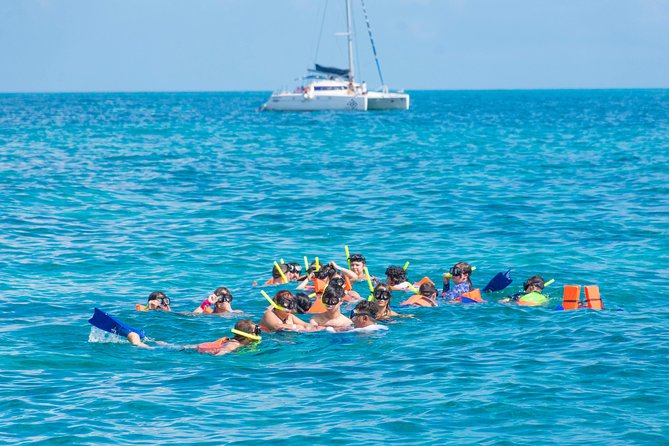 Luxury Catamaran tour to Isla Mujeres with transportation from Playa del Carmen - How the 7-hour schedule really plays out