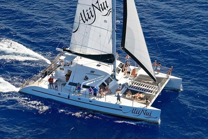 Luxury Catamaran Whale Watch - Boarding at Maalaea Harbor: where timing and feet matter