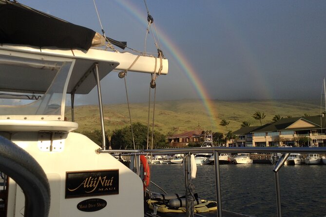 Luxury Catamaran Whale Watch - What you can expect on the water (and what you can’t)