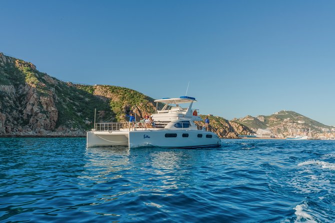 Luxury Catamaran Whale Watching Cabo San Lucas - Pickup to the marina: the stress reducer