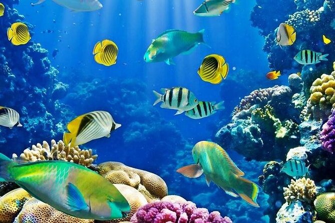 Luxury Cruise to Orange Bay and paradise island Trip-Hurghada - Orange Island and Orange Bay: sand, lunch, and the snorkeling spot