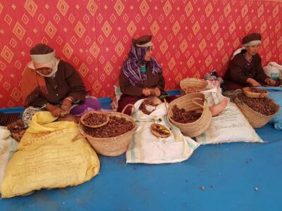 Luxury day trip to Essaouira from Marrakech - Marrakech to Essaouira: the comfortable van ride that actually matters