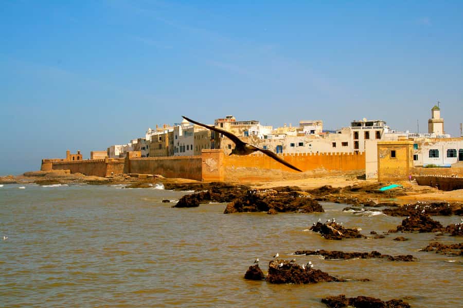 Luxury day trip to Essaouira from Marrakech - Getting your bearings fast in Essaouira