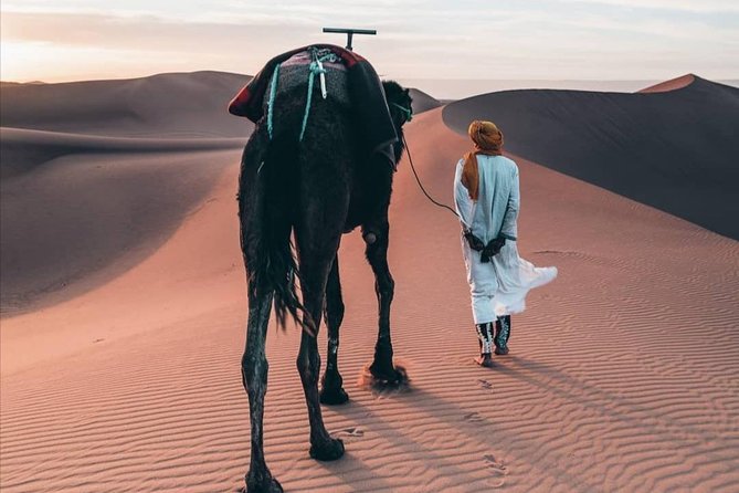 LUXURY Desert Camp: 3 Days Marrakech to Merzouga and Camel Trek - Price and logistics: what you’re really paying for