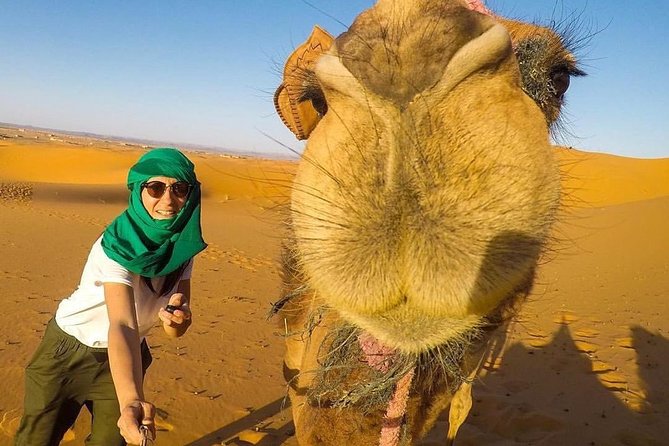 LUXURY Desert Camp: 3 Days Marrakech to Merzouga and Camel Trek - Day 2: Todra Gorge and Tinghir before Merzouga dunes
