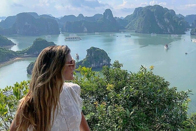 Luxury Halong Day Tour From Hanoi - From Hanoi to Tuan Chau: the limousine ride that sets the tone