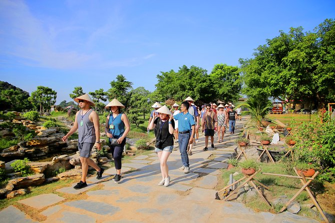 Luxury Hoa Lu Tam Coc Mua Cave 1 Day With Limousine Bus And Lunch - Cycling near Tam Coc villages: easy local movement