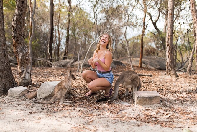 Luxury Hunter Valley Wildlife & Wine Tasting Tour from Sydney - Fat Cow Hunter Valley: Cheese, Olive Oil, and Chocolate That Actually Fits the Day