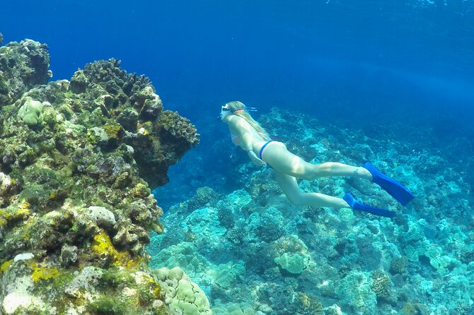 Luxury Kona Coast Snorkel Tour Including Lunch - Pu’u Ohau and Kealakekua Bay: the weather-dependent power duo