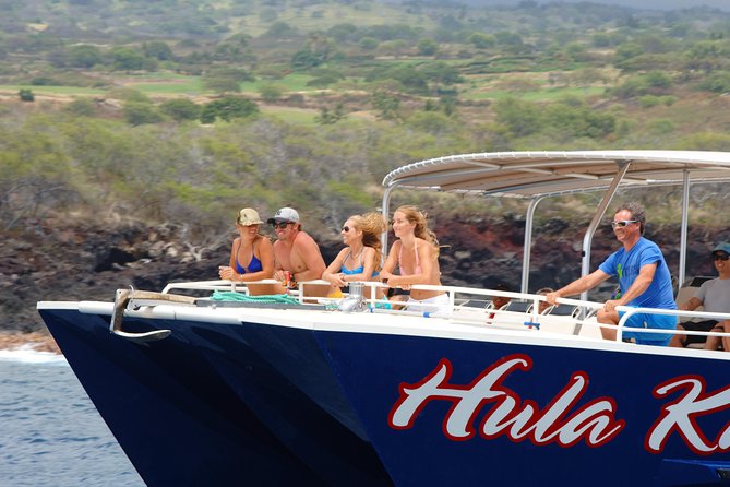 Luxury Kona Coast Snorkel Tour Including Lunch - Marine life odds: turtles, rays, dolphins, and sometimes whales
