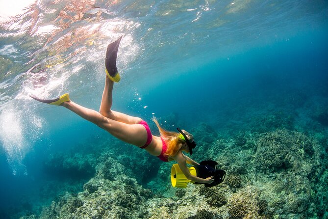 Luxury Kona Coast Snorkel Tour Including Lunch - Price and value: why $204.84 can make sense in Kona