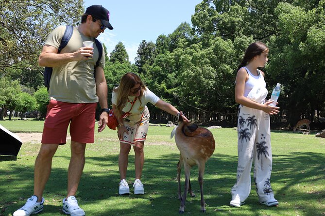 Luxury Kyoto 1-Day Private Car Tour with Nara & Osaka Options - Tenryu-ji Temple: A Short, Serene Garden Stop