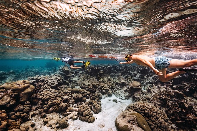Luxury Lagoon Cruise with Onboard Chef and Signature Cocktails - The Food and Drinks: Onboard Chef Lunch Plus an Open Bar You’ll Actually Use