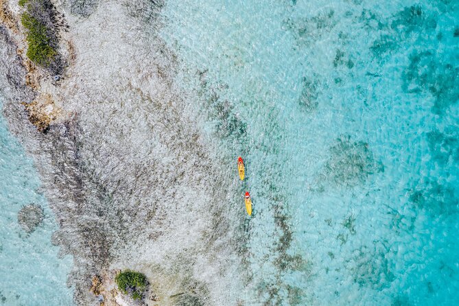 Luxury Lagoon Cruise with Onboard Chef and Signature Cocktails - Price and Value: What Your $149 Includes (and How to Get the Most)