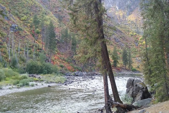 Luxury Leavenworth Day Trip through the Cascade Mountains - Price and Value: How to Think About $352 Per Person