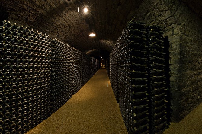 Luxury Luxury Wine Tour Experience - The Big Tasting Day: 18 Wines, Including 8 Grands Crus