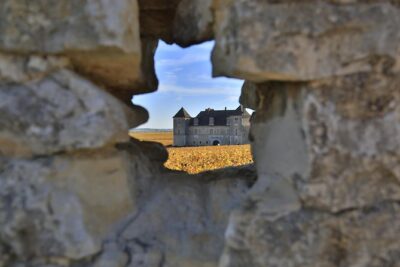 Luxury Luxury Wine Tour Experience - What 3 Domain Visits Really Means (And Why It’s Smart)