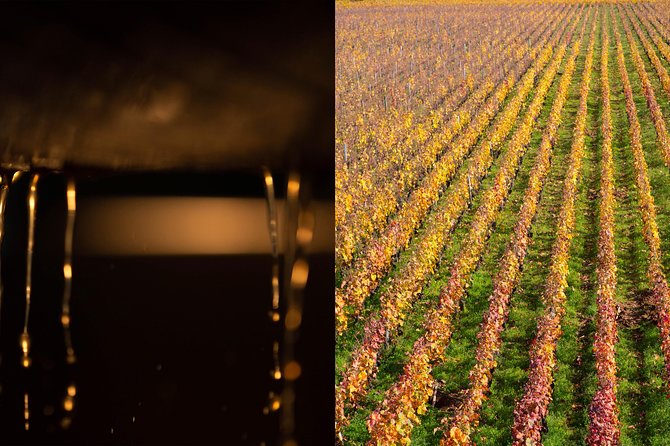 Luxury Luxury Wine Tour Experience - Climats de Bourgogne: The “Why” Behind the Bottle Labels