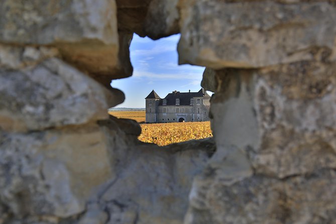 Luxury Luxury Wine Tour Experience - What 3 Domain Visits Really Means (And Why It’s Smart)