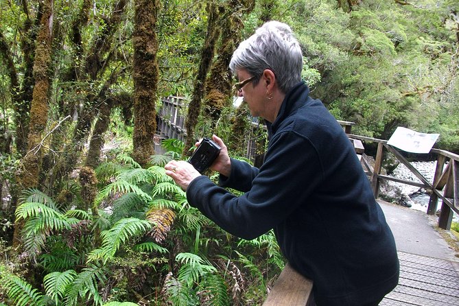 Luxury Milford Sound Coach and Scenic Cruise - Milford Sound cruise: waterfalls, seals, and wildlife odds
