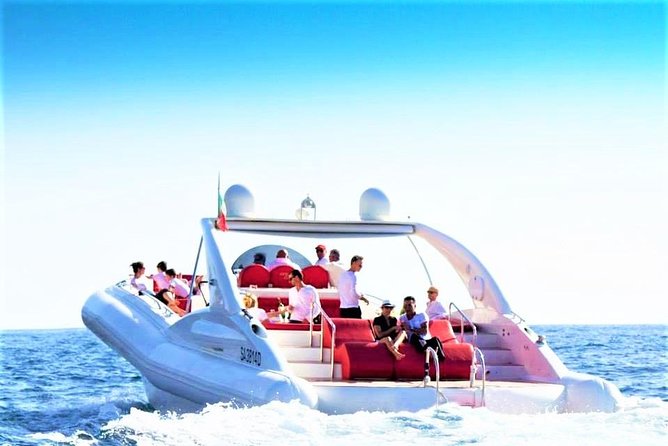 Luxury Opera 60 Whale & Dolphin Watching Experience - Key highlights worth knowing before you go