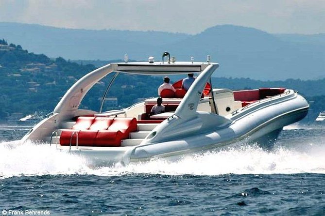 Luxury Opera 60 Whale & Dolphin Watching Experience - The whale and dolphin search: what to expect and how to maximize sightings